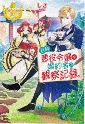 龙猫 经典动漫电影